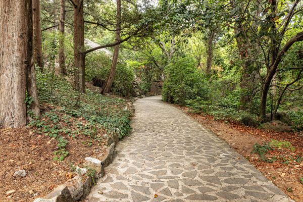 Stone Walkway Repair in Vallejo