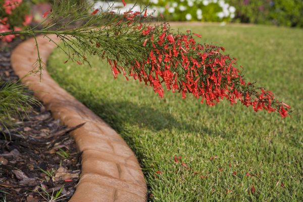 Brick Edging in Vallejo