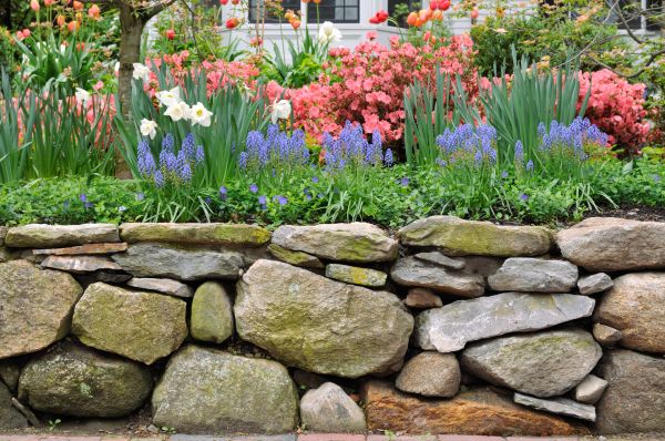 Stone Wall Hardscaping in Vallejo