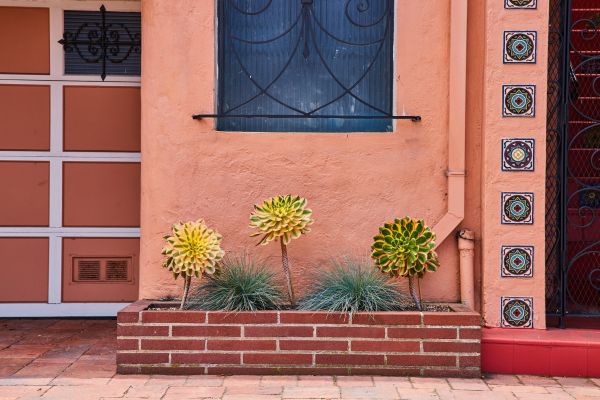Brick Planter Installation in Vallejo