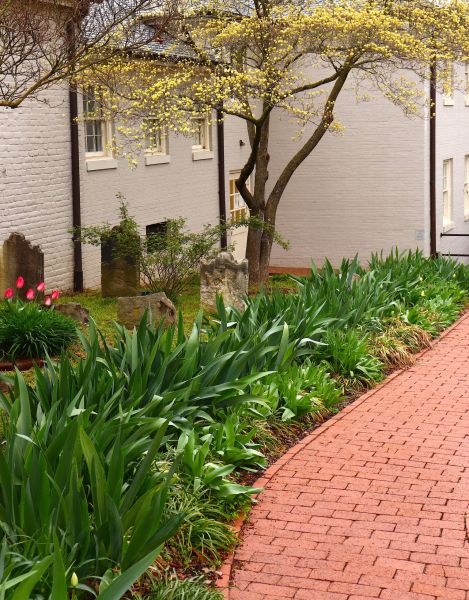 Brick Flatwork Repair in Vallejo